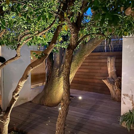 Le Jardin Cache Sanary-sur-Mer Exterior foto
