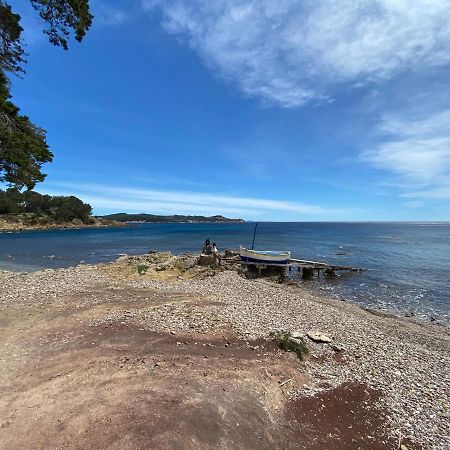 Le Jardin Cache Sanary-sur-Mer Exterior foto