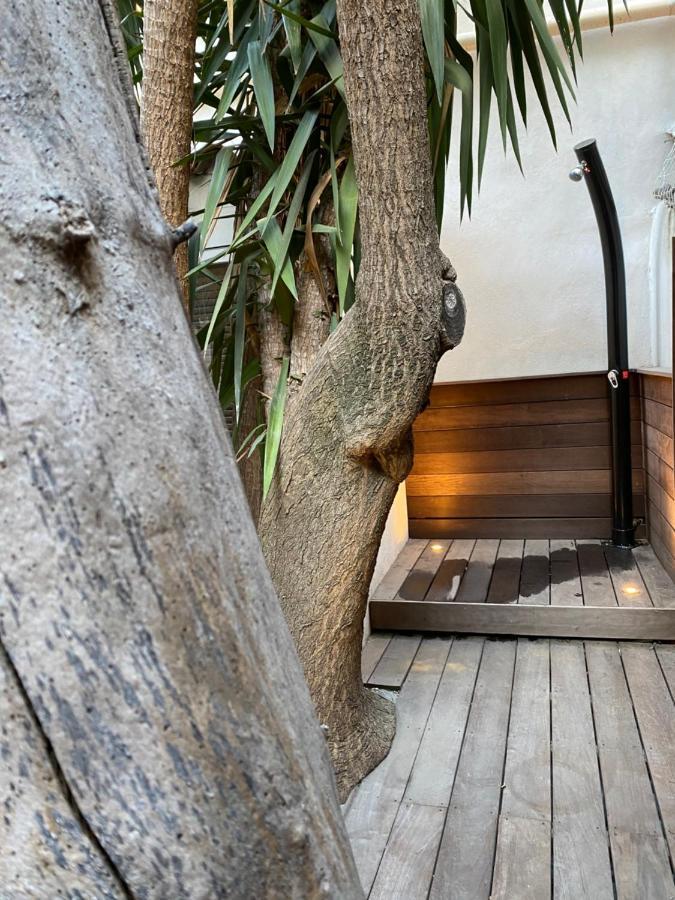 Le Jardin Cache Sanary-sur-Mer Exterior foto