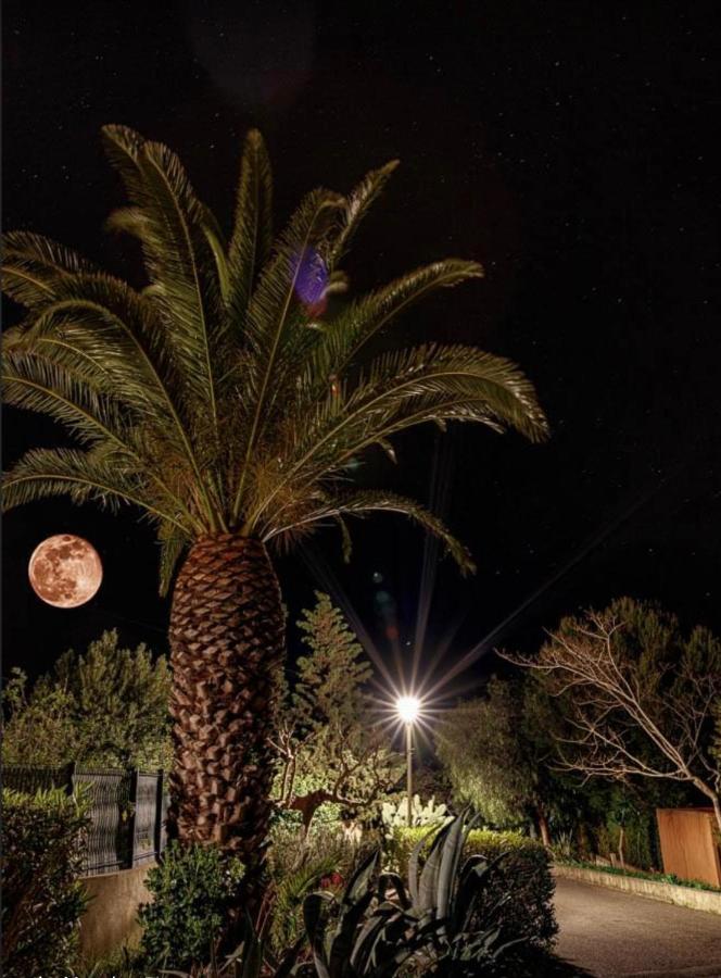 Le Jardin Cache Sanary-sur-Mer Exterior foto